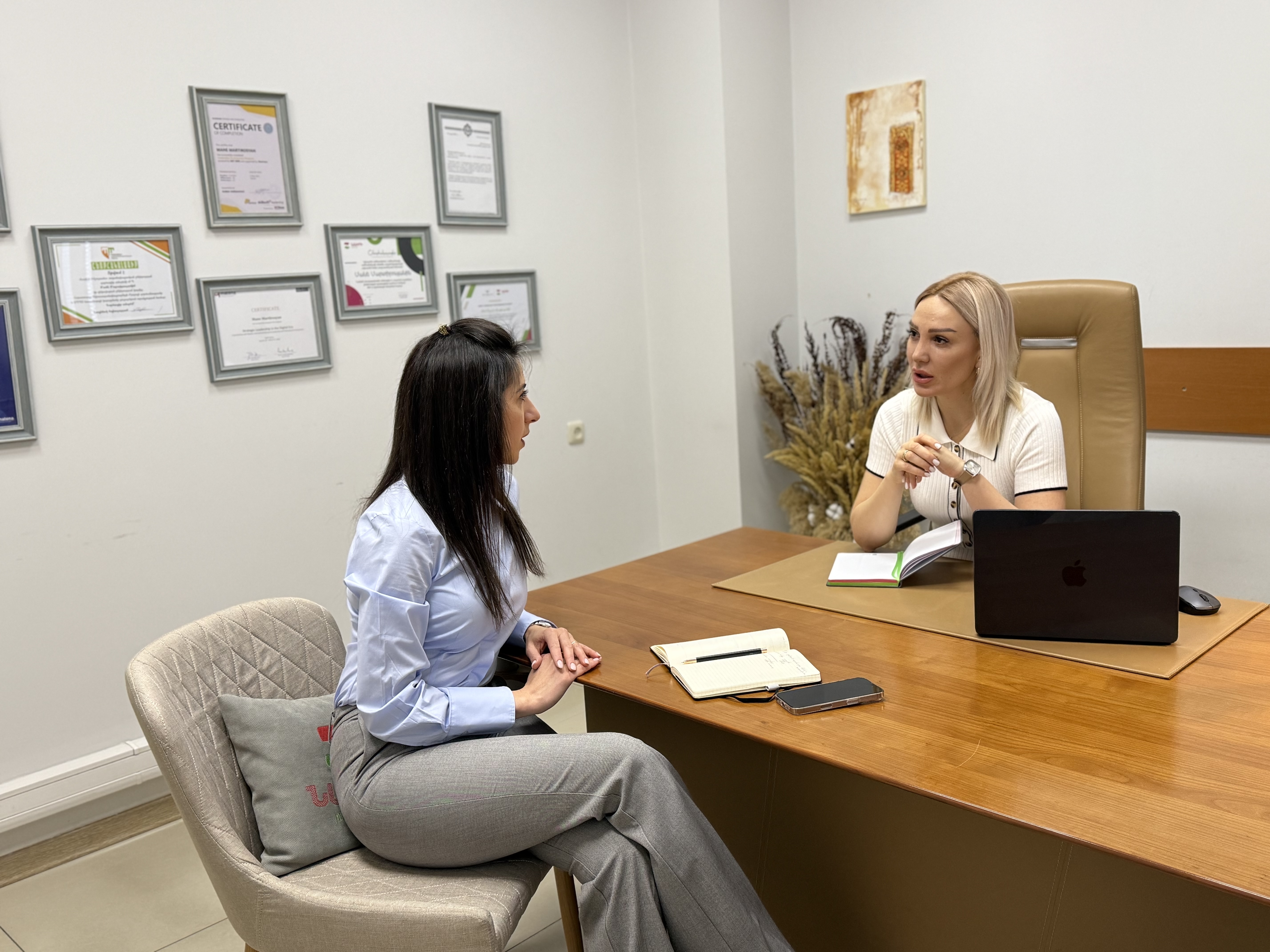 Ապահովագրական համակարգի զարգացման տեսլականը՝ ՀԱՄ և Նաիրի Ինշուրանսի ղեկավարների միջև կայացած ոլորտային հանդիպման հիմքում