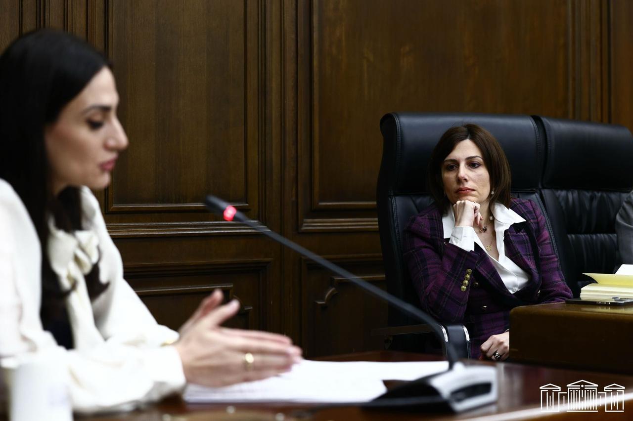 Առողջության համապարփակ ապահովագրության թեմայով քննարկում ԱԺ-ում